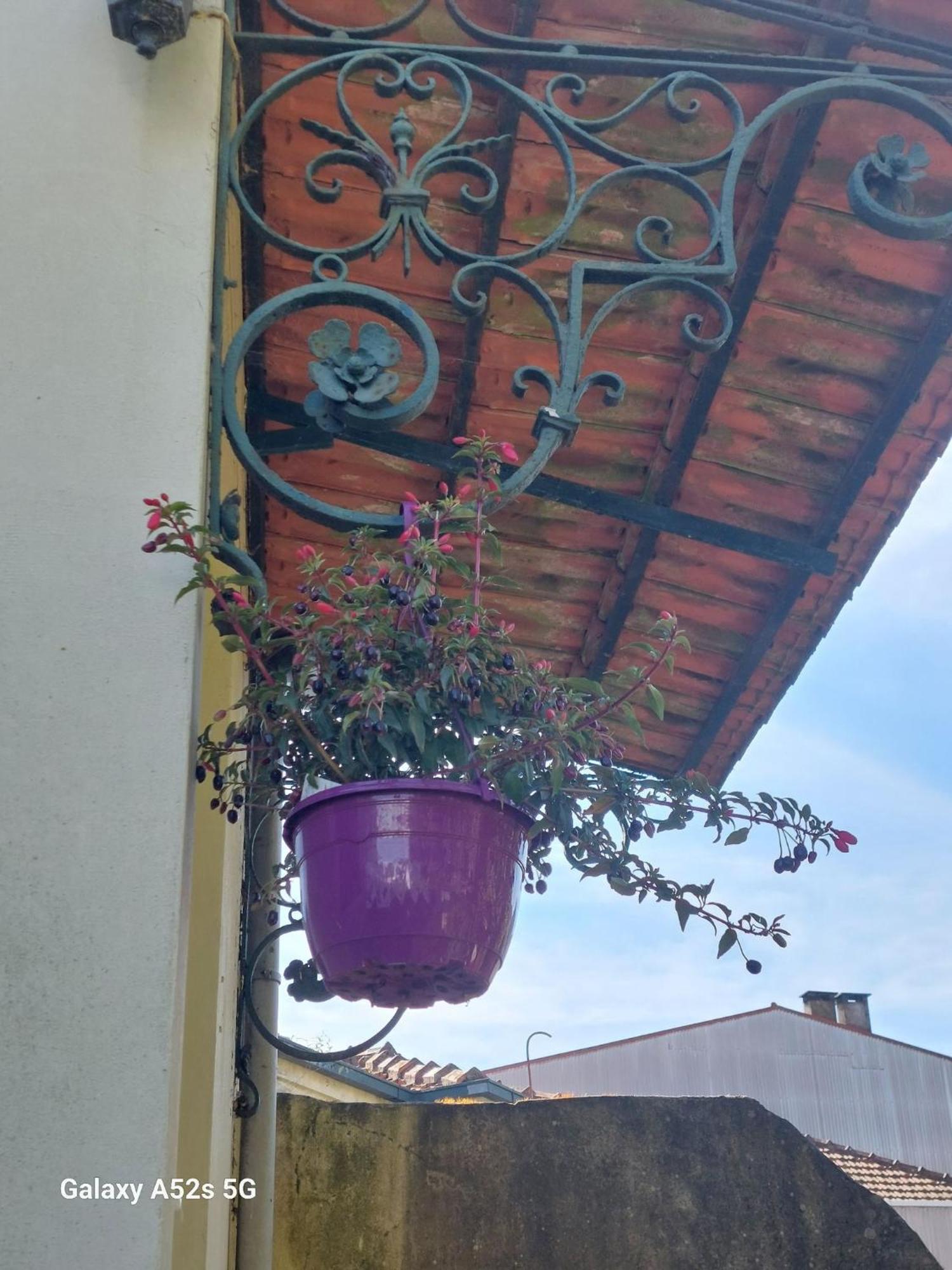Appartamento Casa Portugueza Experience OOporto Esterno foto