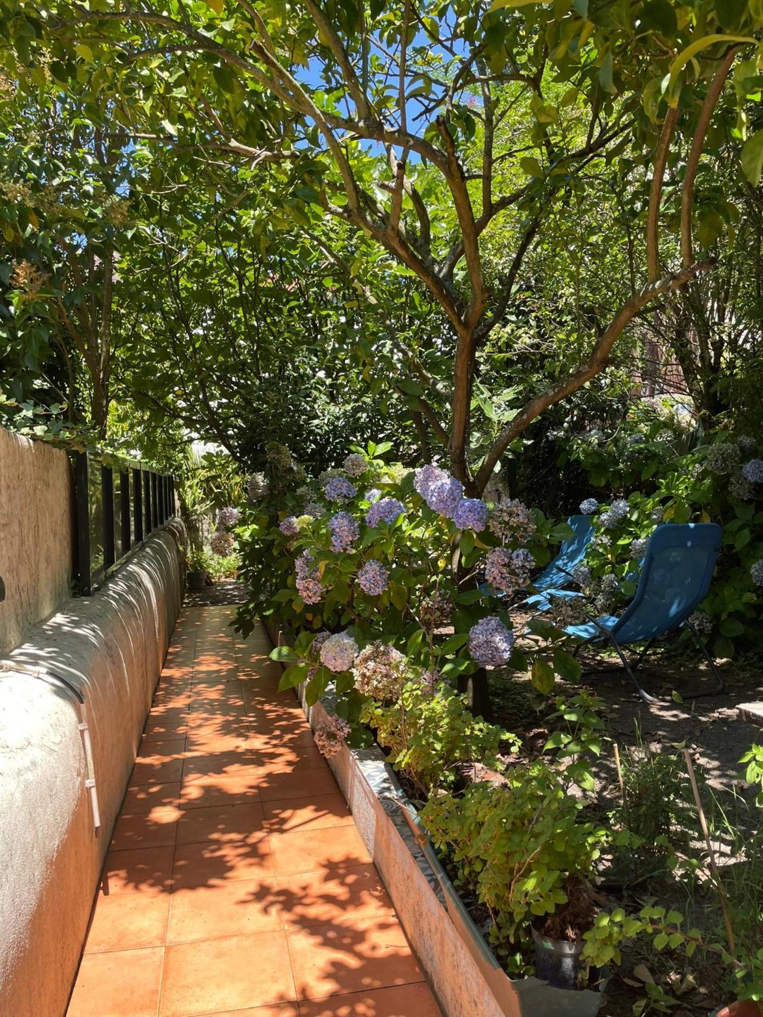 Appartamento Casa Portugueza Experience OOporto Esterno foto